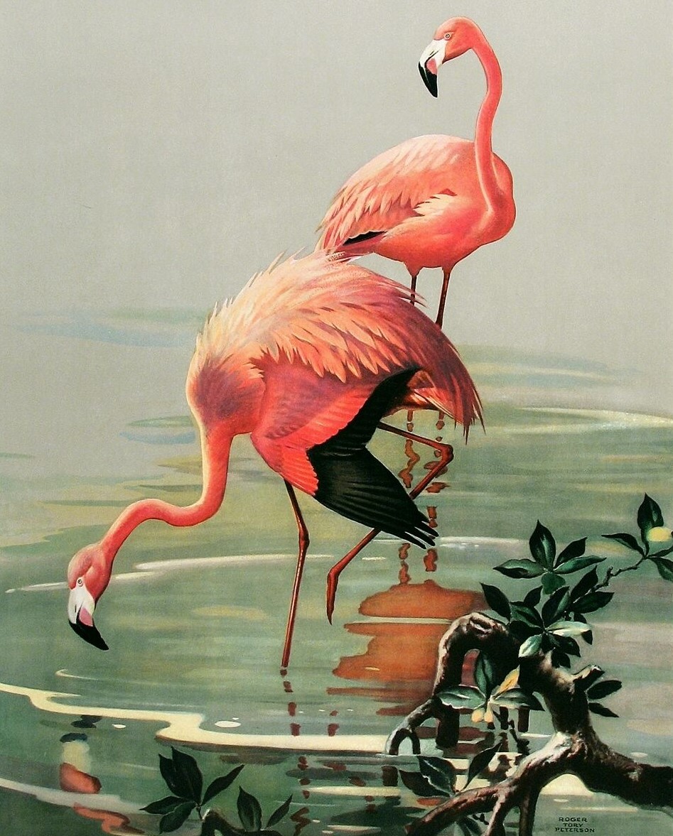 Розовый Фламинго живопись