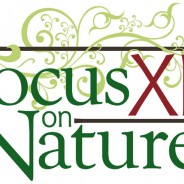 Focus on Nature in 2017