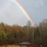 Rainbows at RTPI