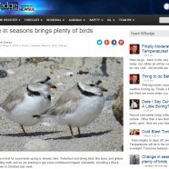 Winter Bird Forecast #7 – Change in Seasons Brings Plenty of Birds