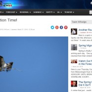 Spring Bird Forecast #1 – Spring Migration Time!
