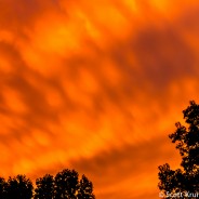 Gnarly Sunset