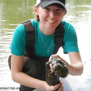 Chasing Hellbenders