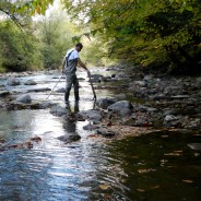 Autumn Field Surveys