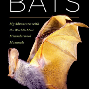 Book Review: The Secret Lives of Bats by Merlin Tuttle