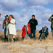 Noble Proctor BioBlitz Challenge at Hammonasset Tomorrow