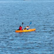 Kayaking Dogs