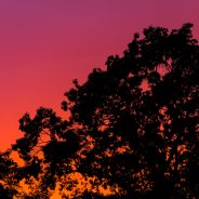 Thunderstorm Sunset