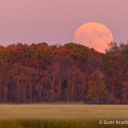 November Supermoon