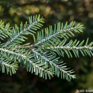 A Call for Citizen Scientists!