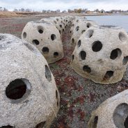 Stratford Point Reef Ball Expansion