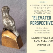 Bronze Owl Sculpture Raffle