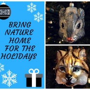 Bring Nature Home for the Holidays!