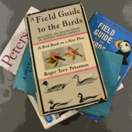 RTPI to Host Peterson Field Guide Party on June 6th